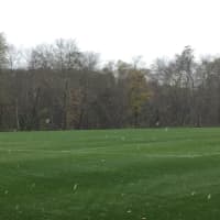 <p>Snow flies across the soccer fields near Exit 11 in Newtown.</p>