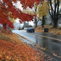 <p>The rain may spell the end of the fall color across Fairfield County as the roads fill with wet, slippery leaves.</p>