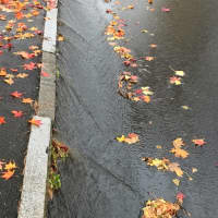 <p>Heavy rain and wet leaves can make for slippery conditions on Fairfield County roads.</p>