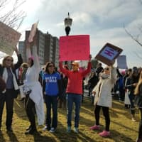 <p>Protesters with signs begin to gather Saturday morning at Mill River Park for the Women&#x27;s March on Stamford.</p>