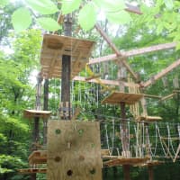 <p>The Labyrinth at Adventure Park In Bridgeport is only available by advance reservation and is exclusively for younger climbers</p>