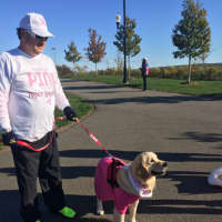 <p>Lucy wears her pink shirt as Dr. Steve Bernstein of Edgewater keeps her company at the Making Strides Against Breast Cancer walk at Overpeck Park.</p>