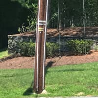 <p>Piping has been installed on some Mahwah utility poles.</p>