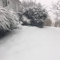 <p>The snow is piling up in Danbury on Thursday morning.</p>