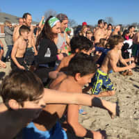 <p>Plungers head for Long Island Sound for the 10th annual Polar Plunge at Westport&#x27;s Compo Beach.</p>