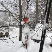 <p>“Summer’s Wind Chimes...” photographed after the latest Nor’easter, in North Salem.







Pat Hartwell</p>
