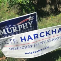 <p>Campaign signs can be found throughout the crucial 40th Senate District.</p>