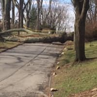 <p>Trees remain down throughout Westchester, leaving several Con Edison and NYSEG customers in a lurch as a second storm looms.</p>