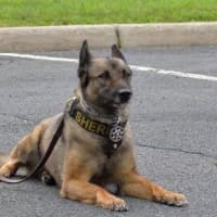 <p>Funds are being raised to support the Passaic County Sheriff&#x27;s K-9 Division.</p>
