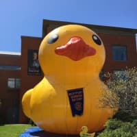 <p>Sunny the Duck is the Westport Sunrise Rotary’s new mascot for the Great Duck Race. The Rotary club is a Maker Faire sponsor.</p>