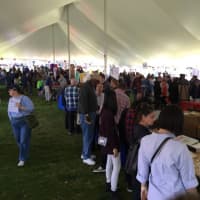 <p>The tent at Westport&#x27;s 5th Annual Maker Faire on Saturday hosted about 60 makers, hackers, do-it-yourselfers.</p>