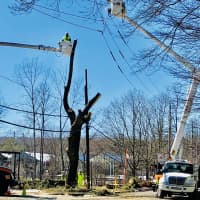 <p>Utility crews trimming trees and restoring power lines along Bedford Road at Maple Avenue in Armonk.</p>