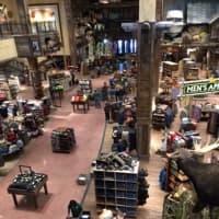<p>A view from the bridge at Bass Pro Shops of Bridgeport.</p>