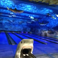 <p>The marine-themed bowling alley at Bass Pro Shops</p>