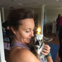 <p>Blue Lotus Yoga practitioners can&#x27;t get enough of goat yoga.</p>