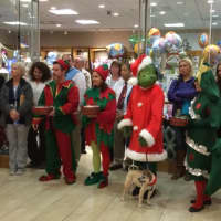 <p>Elves Jingles and Jangles, The Grinch and Alberta Spruce join the crowd at the St. Vincent&#x27;s Medical Center tree lighting. </p>