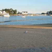 <p>Mamaroneck Harbor as it looked from a distance in the Village of Mamaroneck on Tuesday evening.This view is from the filtered/netted swim area, so no dead fish are there.</p>