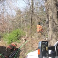 <p>Firefighters work to douse a brush fire.</p>