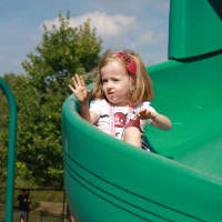 <p>Youngsters at the picnic enjoyed the jungle gym&#x27;s slide.</p>