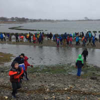 <p>Students and other volunteers helped plant plugs of sea grass to help stop erosion on Stratford Point.</p>