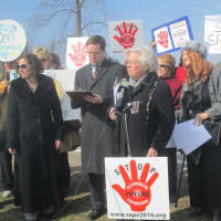 <p>Assemblywoman Sandy Galef expresses her opposition to the Spectra Algonquin pipeline in Buchanan.</p>