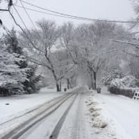 <p>Snow turned Bartram Avenue in Bridgeport into a winter wonderland.</p>
