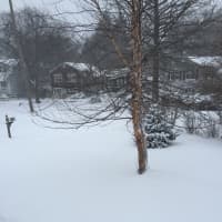 <p>Snow blanketed neighborhoods in Greenwich, covering streets, lawns and cars Saturday afternoon.</p>