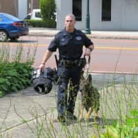 <p>New Rochelle K-9 Officer Marc Weinerman with his partner Tank and his new vest.</p>