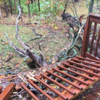 <p>A large tree came crashing down on Oakwood Court in Norwalk as a result of the storm that hit the city on Sunday</p>
