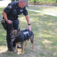 <p>New Rochelle K-9 Officer Matthew Glass showing off Diesel&#x27;s new bulletproof vest.</p>