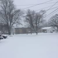 <p>The neighborhood near Strawberry Hill Avenue in Stamford is completely deserted on Thursday after a heavy snowfall.</p>