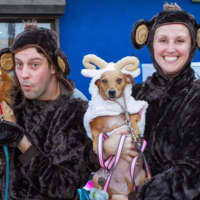 <p>Ossining residents show off their pets at the Pet Parade.</p>