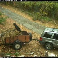 <p>Seven were cited for illegally dumping in Western Massachusetts.</p>