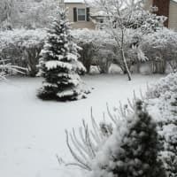 <p>Snow blanketed the landscape in Greenwich Friday morning, giving trees and lawns a wintery coat.</p>