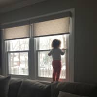 <p>Piper wants out in Westwood.</p>