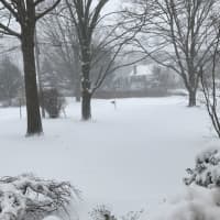 <p>No one is venturing outside on a snowy Thursday morning in Southport. Over a foot of snow is forecast to fall by evening.</p>