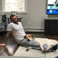 <p>This dog found his forever home through A Good Dog Rescue.</p>