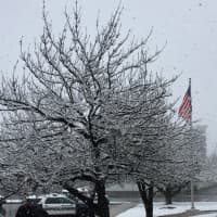 <p>It was a snowy scene outside the Stamford Police Department on Friday.</p>