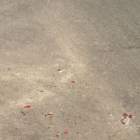 <p>Smashed glass on the ground near the site of McMahon&#x27;s crash.</p>