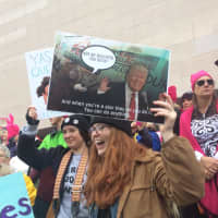 <p>Part of the crowd at Women&#x27;s March On Washington gathers at the Washington Monument.</p>