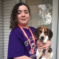 <p>Nicole Selick is hosting a bake sale at Tenafly Middle School to raise money for Pet ResQ. </p>