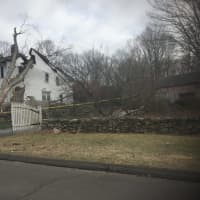 <p>A large tree fell into this house on Grumman Hill Road in Wilton during the Nor&#x27;easter.</p>