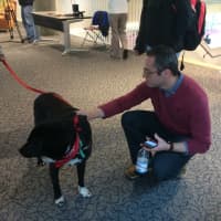 <p>Cooper helps students relax before exams at Fairfield University.</p>