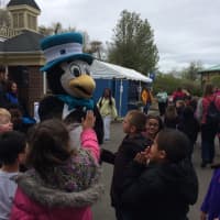 <p>Everyone gets in the penguin spirit at Beardsley Zoo Thursday.</p>