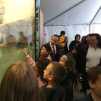 <p>Mayor Joe Ganim watches a school group check out the new penguins at Beardsley Zoo in Bridgeport.</p>