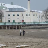 <p>Dog walkers braved strong winds to catch the beauty of Rye Playland&#x27;s beach and snow-covered boardwalk last week.</p>