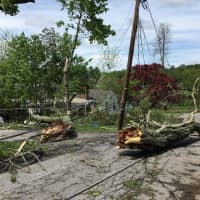 <p>Trees were torn apart of a tornado in Putnam.</p>