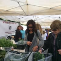 <p>Shoppers peruse the tasty fresh offerings on opening day of the Westport Farmers Market.</p>