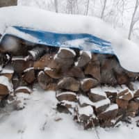 <p>firewood in snow</p>