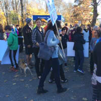 <p>Marchers attend the Solidarity Walk in downtown Katonah, an event that was held to support minority communities.</p>